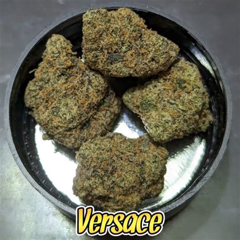 versace og tins|versace strain weed.